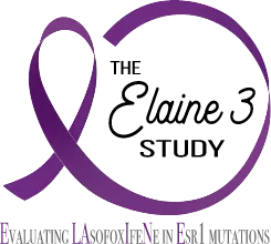 elaine-3-study The Elaine 3